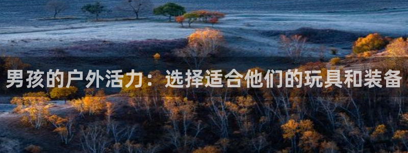 意昂体育4招商电话号码:男孩的户外活力:选择适合他们的玩具和