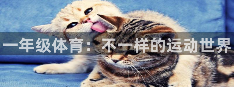 意昂体育4招商电话号码查询是多少:一年级体育:不一样的运动世